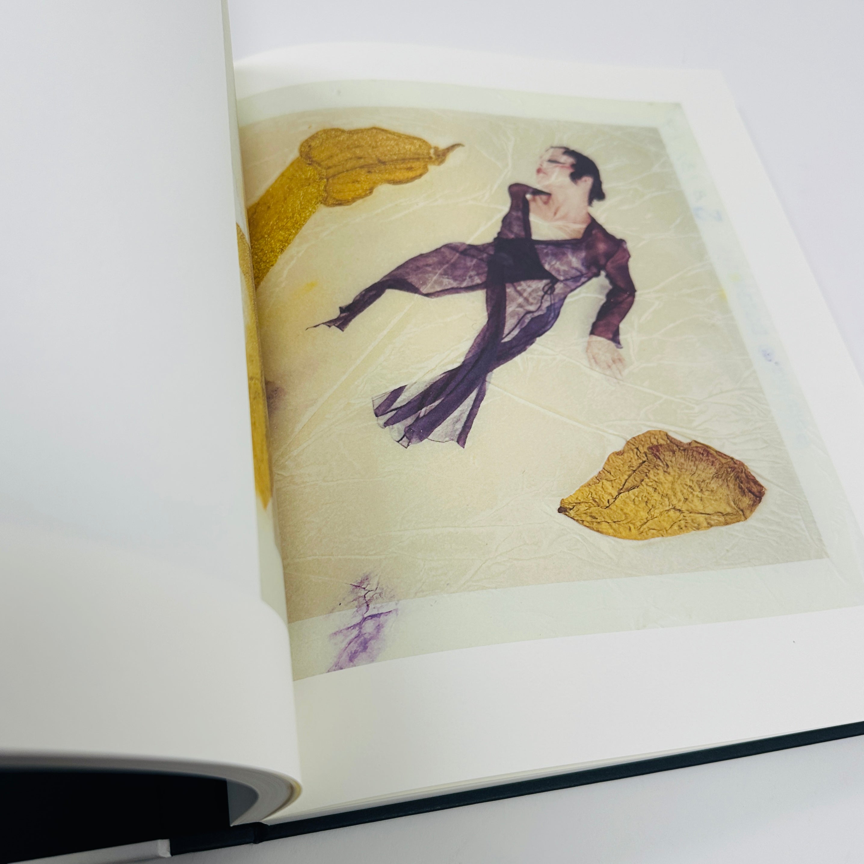 Paolo Roversi – UNITOM