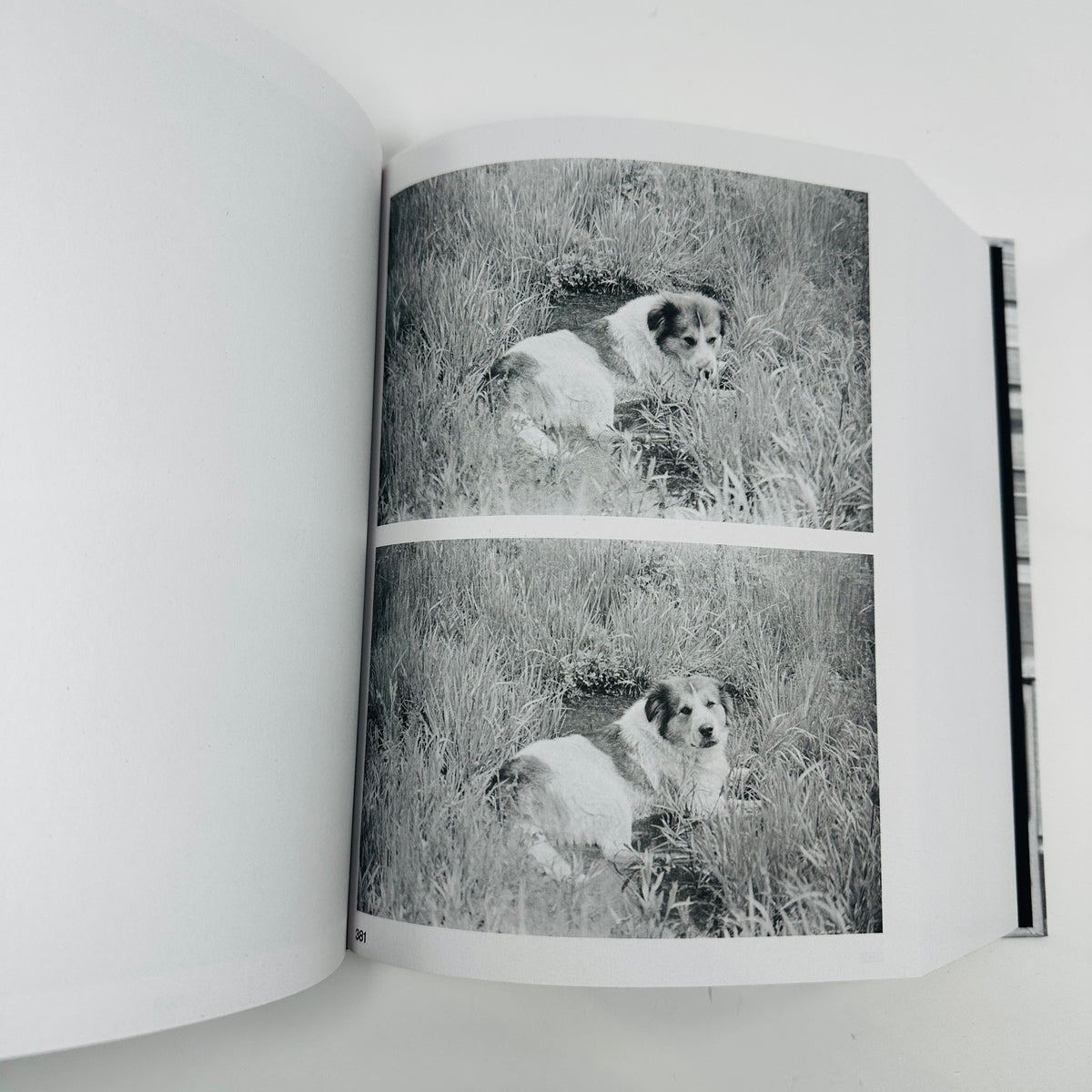 Passing Through Moving In - New York City Graffiti Photographs 1972-73