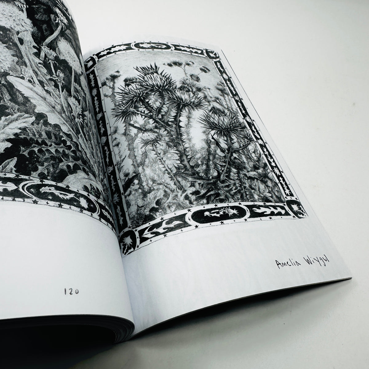 Pencil #2 - The Eraser Issue