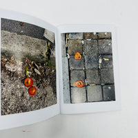 People Don't Like Tomatoes - Claire Wray