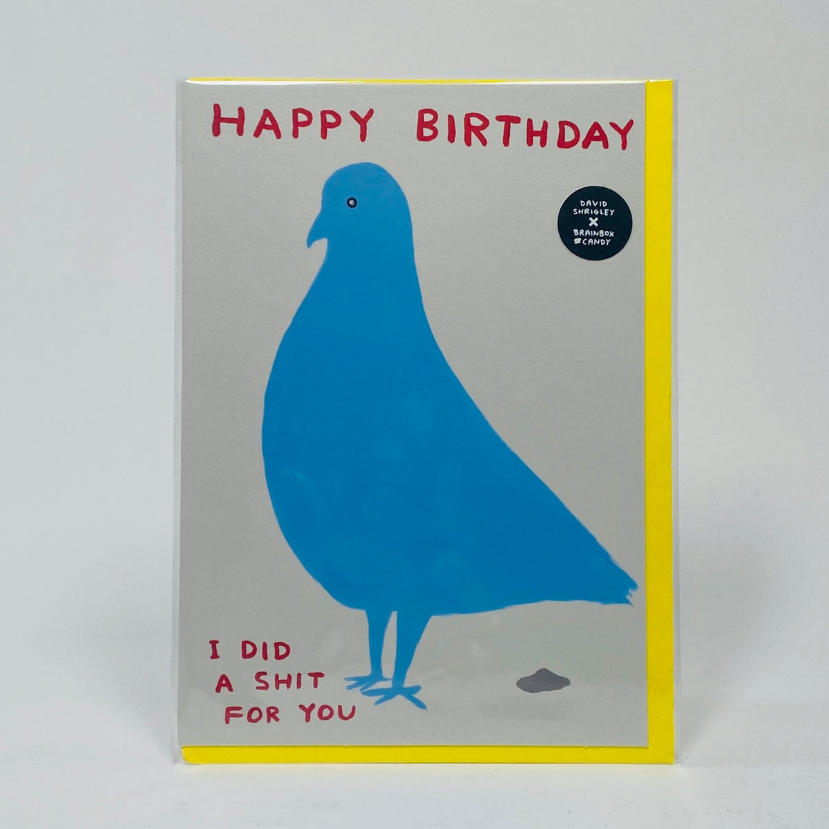 Pigeon Birthday Shit - David Shrigley Card