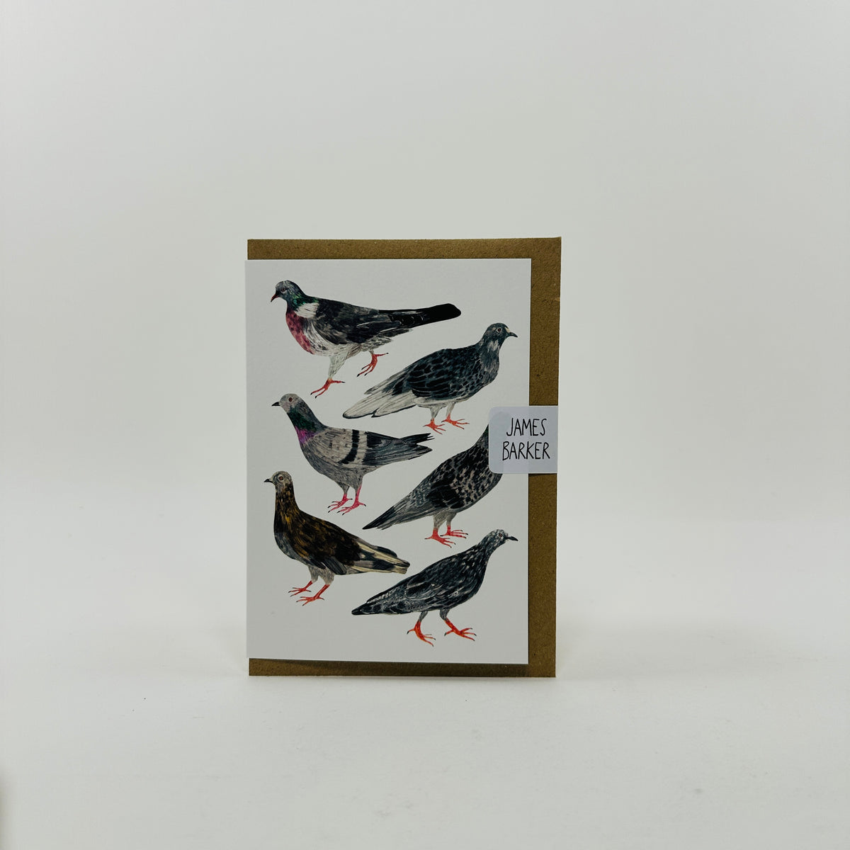 Pigeons - James Barker Card