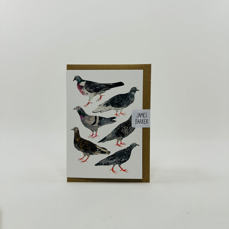 Pigeons - James Barker Card
