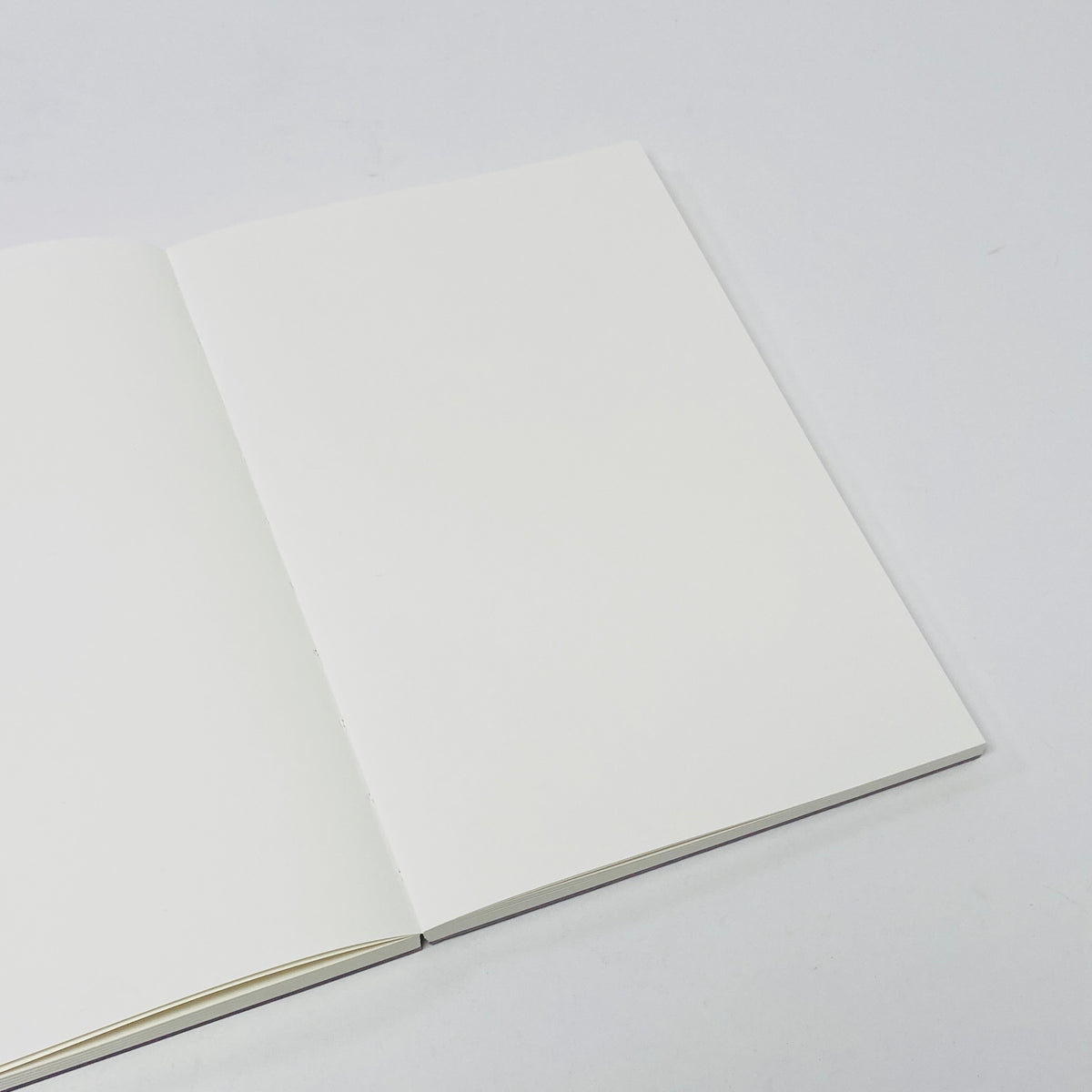 Pith Yuzu Notebook Grey - Blank