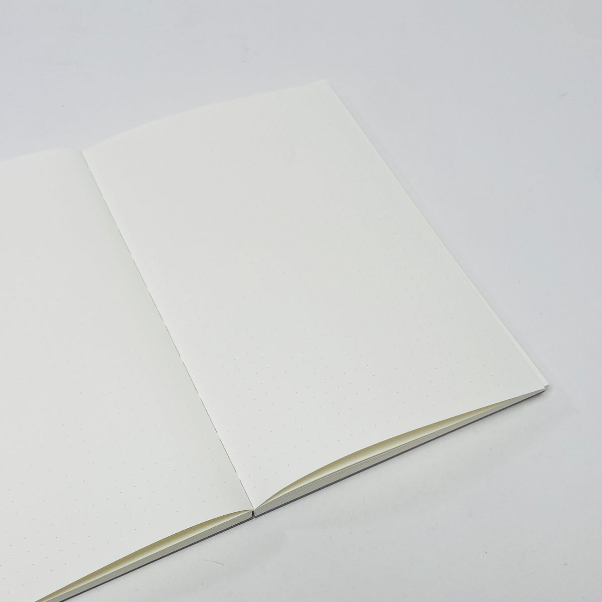Pith Yuzu Notebook Grey - Dot Grid