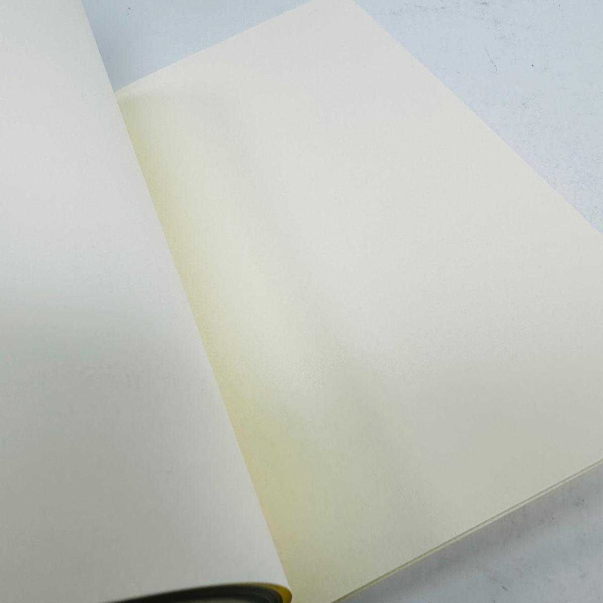 Plants and Vegetables Notebook