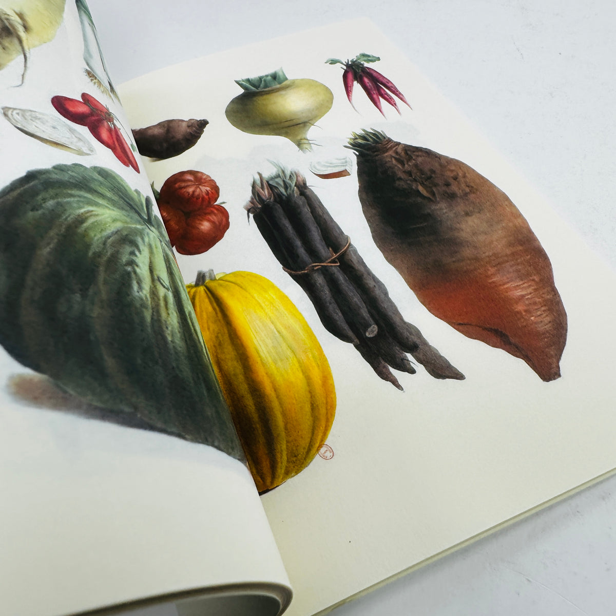 Plants and Vegetables Notebook