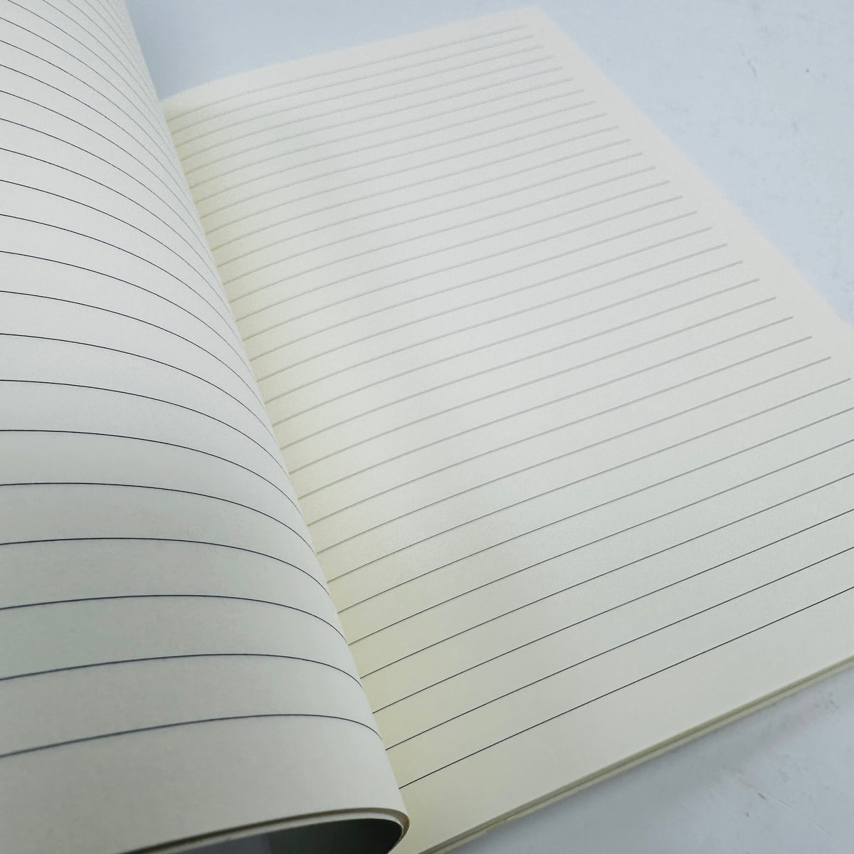 Plants and Vegetables Notebook