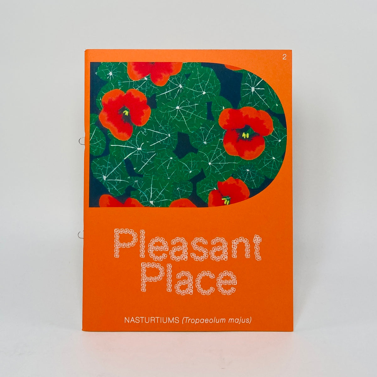 Pleasant Place #2 - Nasturtiums