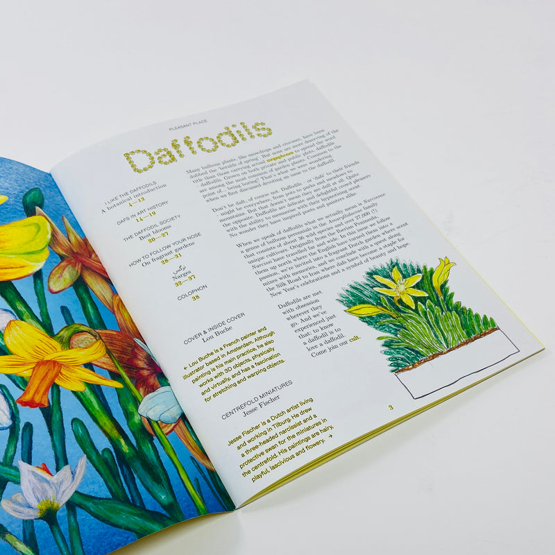 Pleasant Place #7 - Daffodils (Narcissus)