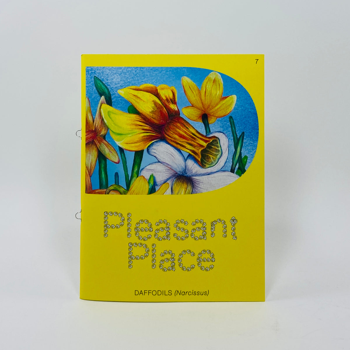 Pleasant Place #7 - Daffodils (Narcissus)