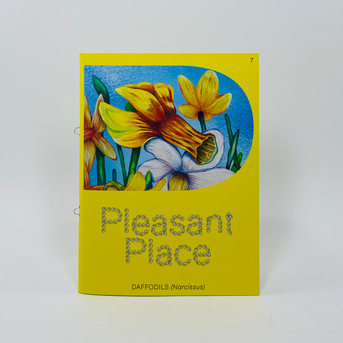 Pleasant Place #7 - Daffodils (Narcissus)