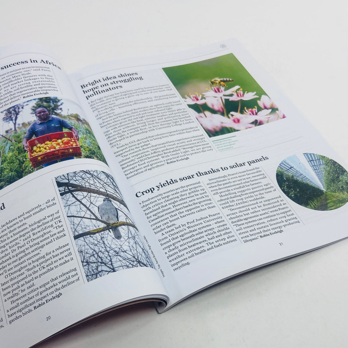 Positive News #124 - Future Urban Living