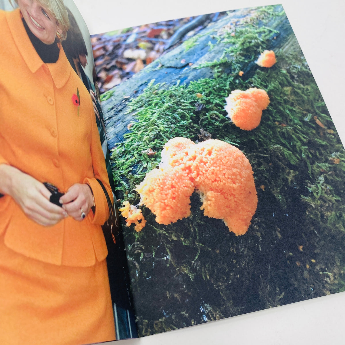 Princess Diana as Mushrooms #1