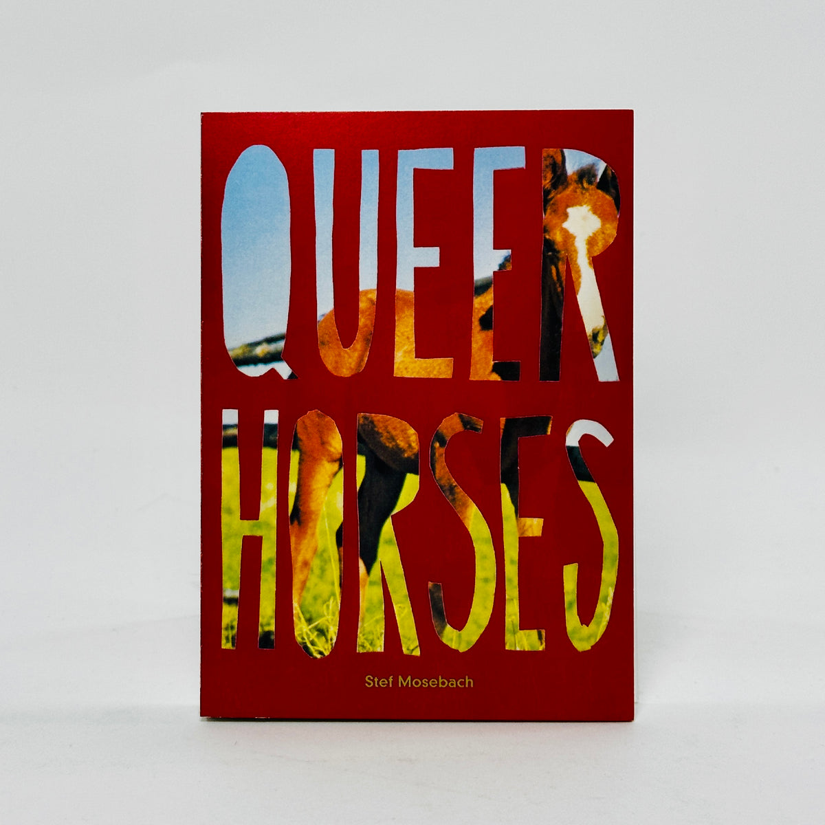 Queer Horses - Stef Mosebach