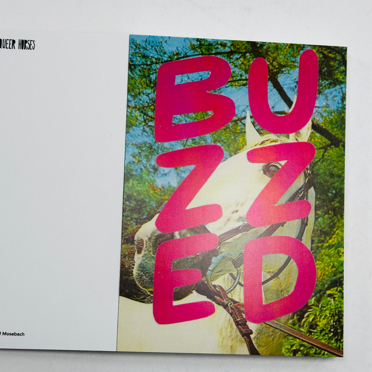 Queer Horses - Stef Mosebach