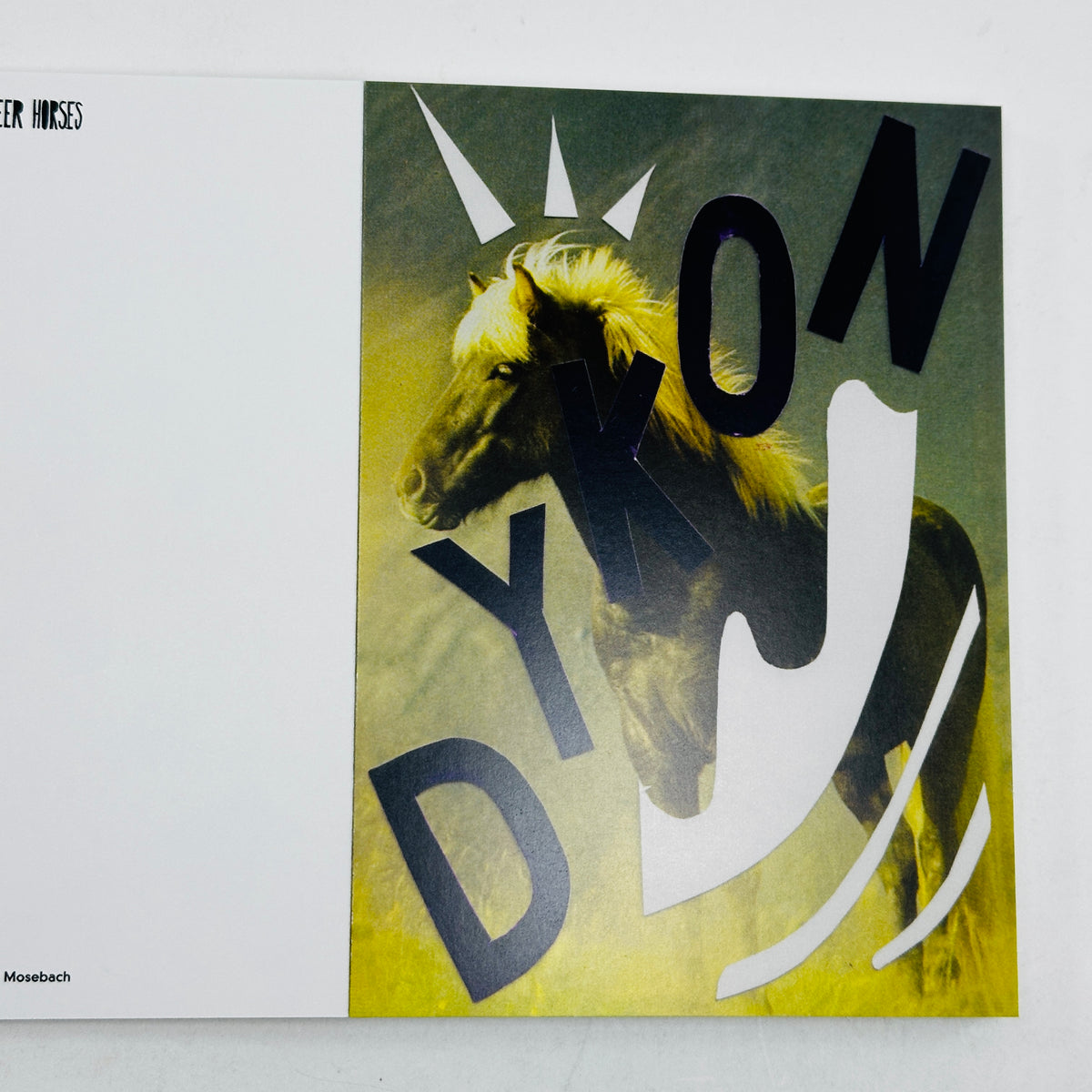 Queer Horses - Stef Mosebach