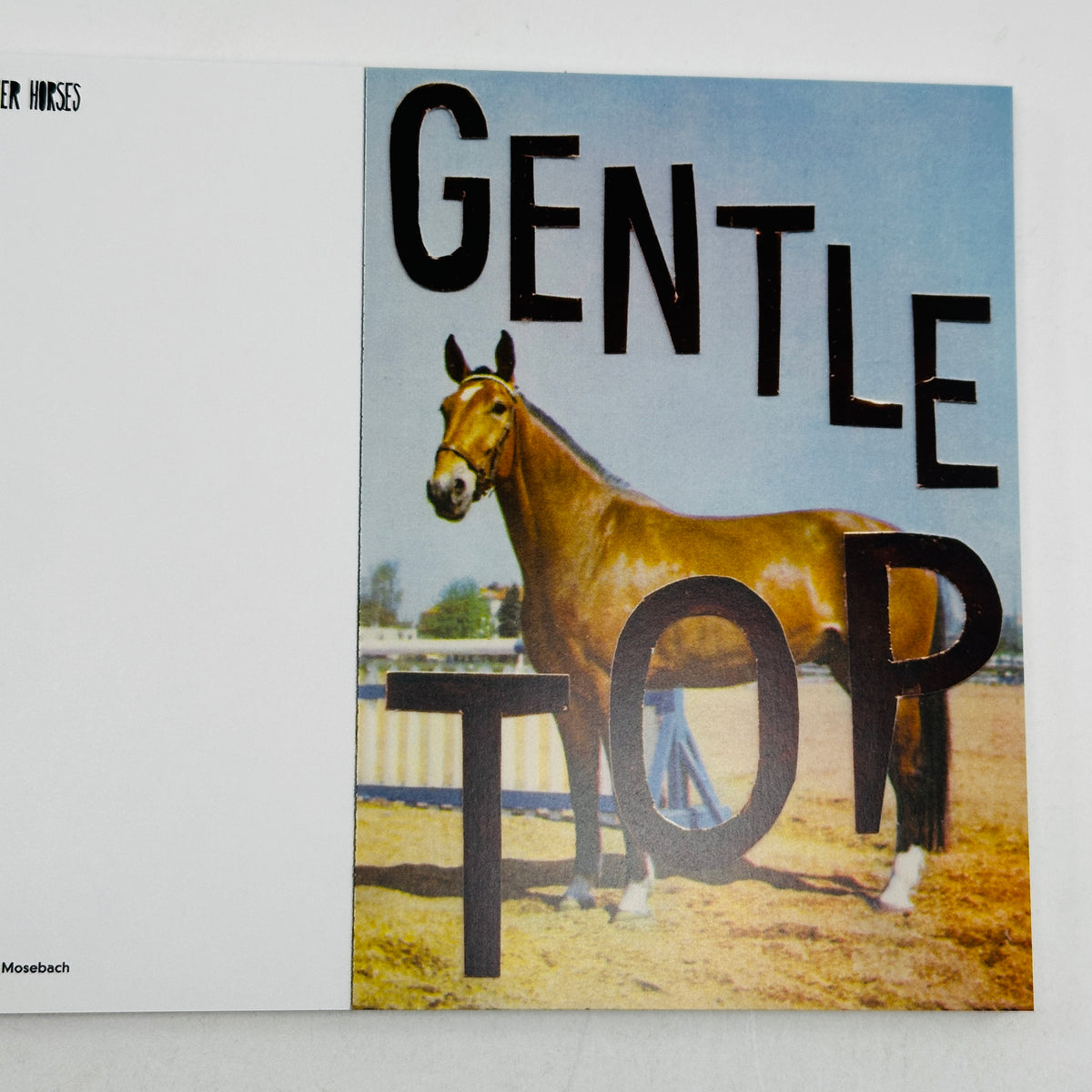 Queer Horses - Stef Mosebach