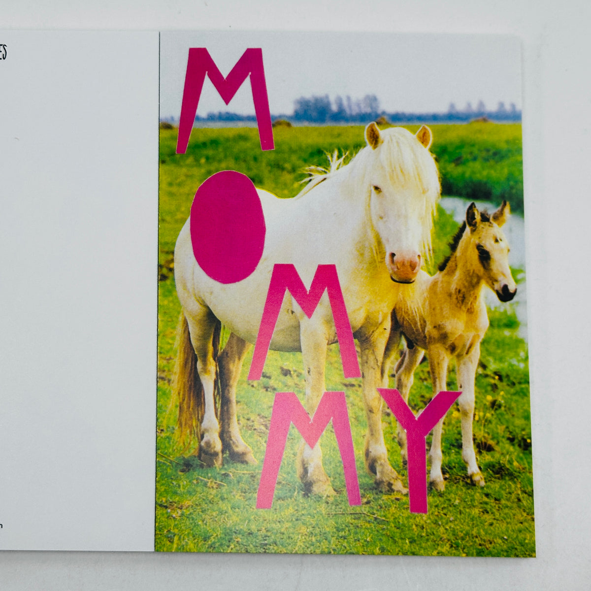 Queer Horses - Stef Mosebach