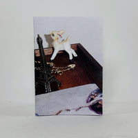 Quiet Girl - Molli Elizabeth Murphy