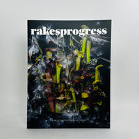 Rakesprogress #18