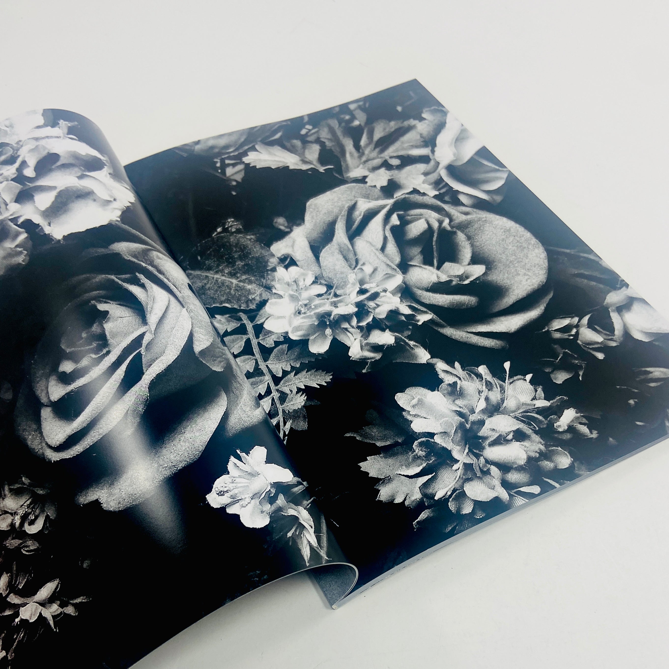 Record 59 - Daido Moriyama – UNITOM
