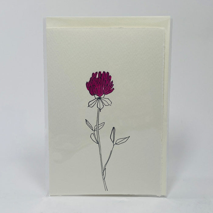 Red Clover - Scribble And Daub Card