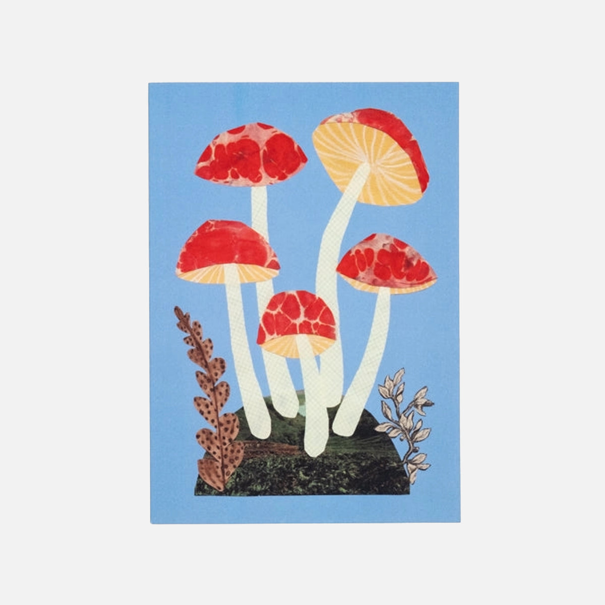 Red and Blue Mushroom - Hadley Card