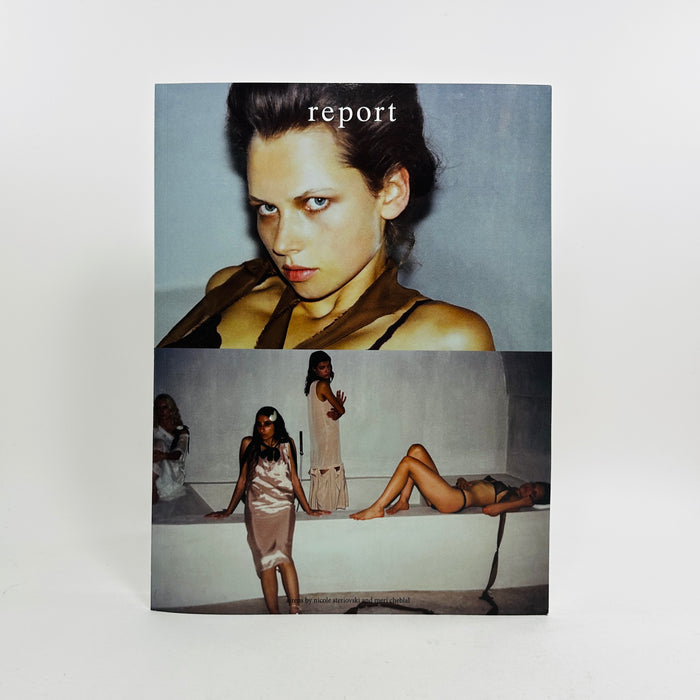 Report #6 - The IDYLL issue