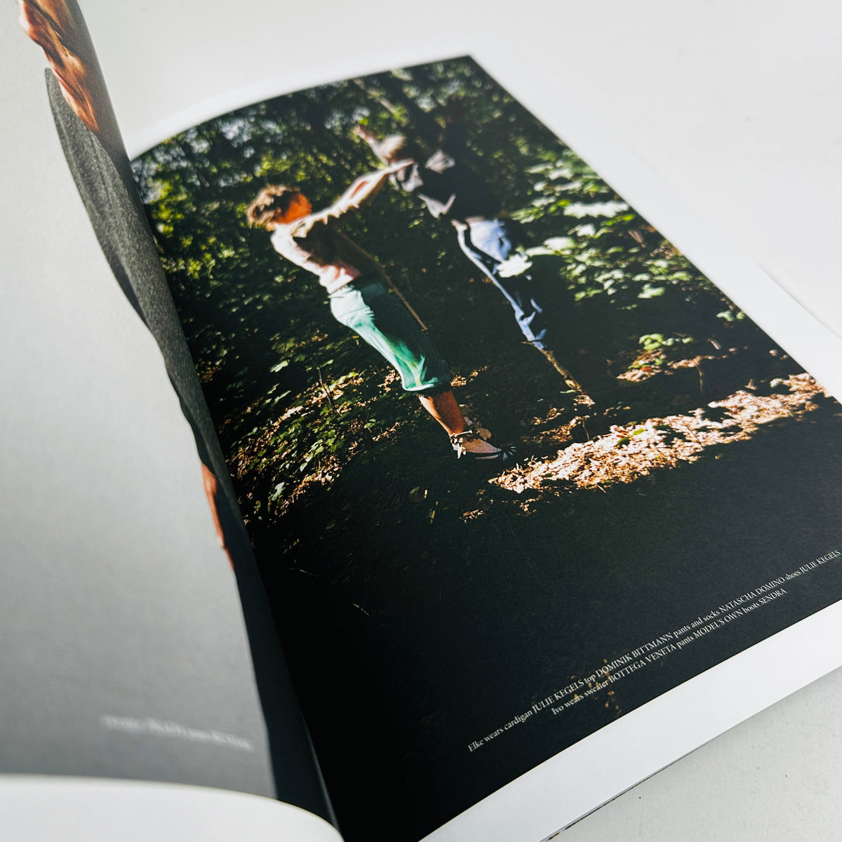 Report #6 - The IDYLL issue