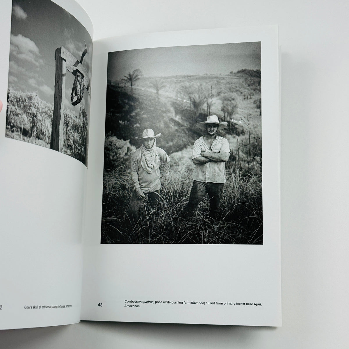Richard Mosse - Tate Photography Series
