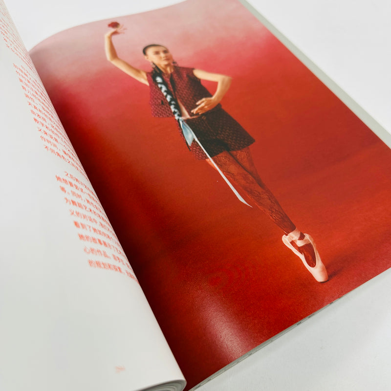 Rouge Fashionbook #15