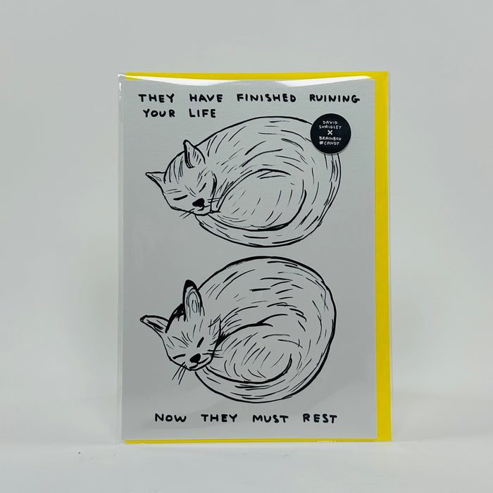 Ruining Your Life - David Shrigley Card