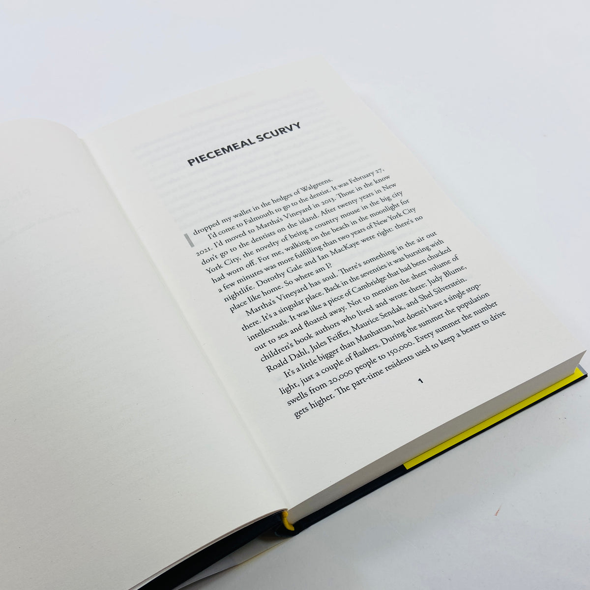 Rumours of My Demise - Evan Dando