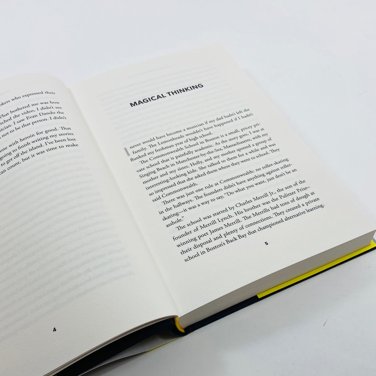 Rumours of My Demise - Evan Dando