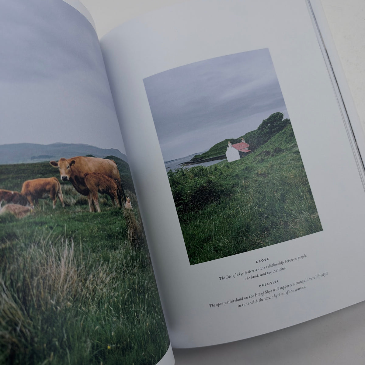Scotland - The Extraordinary Guide
