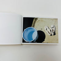 Screenshots From A Series Of Videos About A Rice Field And Its Surroundings - Cintia Tortosa Santisteban