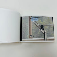 Screenshots From A Series Of Videos About A Rice Field And Its Surroundings - Cintia Tortosa Santisteban