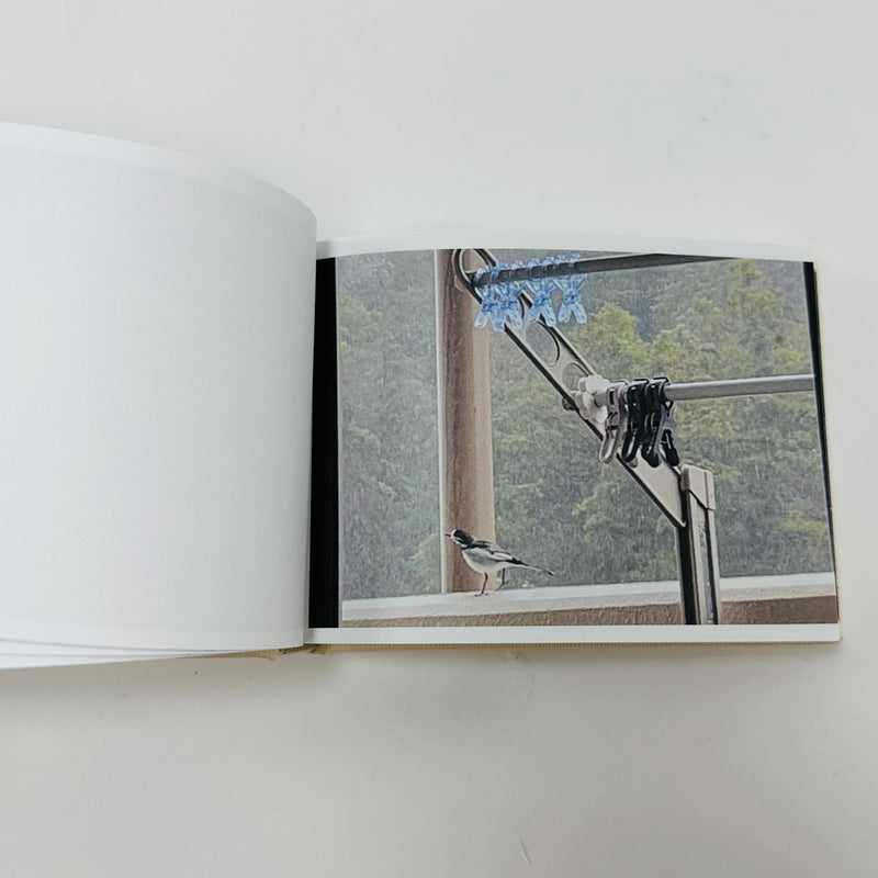 Screenshots From A Series Of Videos About A Rice Field And Its Surroundings - Cintia Tortosa Santisteban