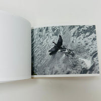Screenshots From A Series Of Videos About A Rice Field And Its Surroundings - Cintia Tortosa Santisteban