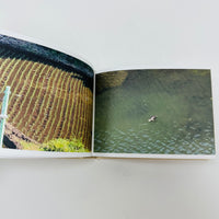 Screenshots From A Series Of Videos About A Rice Field And Its Surroundings - Cintia Tortosa Santisteban