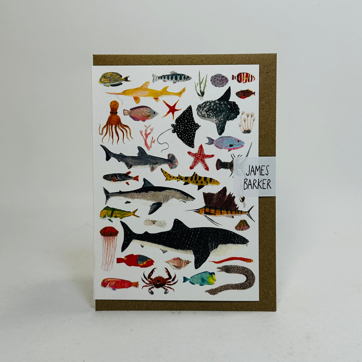 Sea Life - James Barker Card