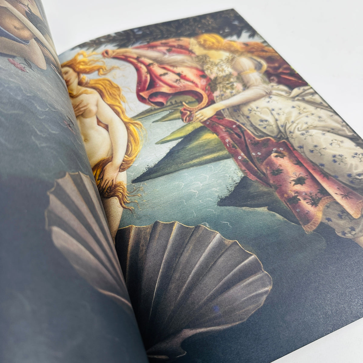 See The Act #9 - Zest