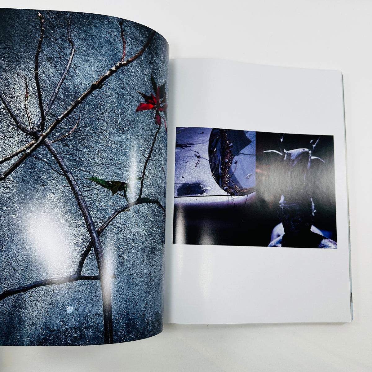 Shadowplay #8