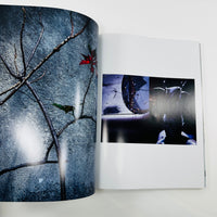 Shadowplay #8