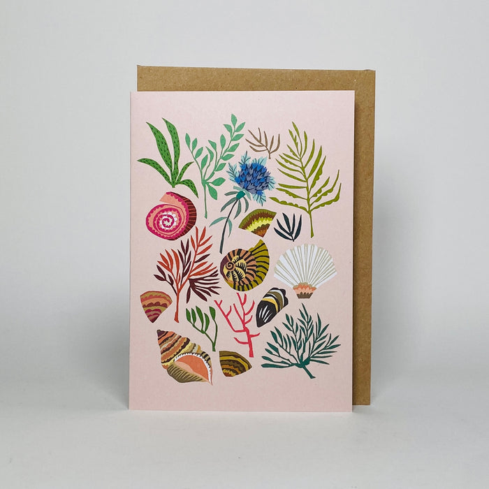 Shells & Seaweed - Brie Harrison Cards