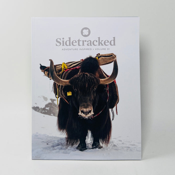 Sidetracked #31 - Closer to Nature