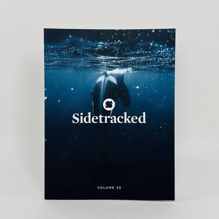 Sidetracked #33