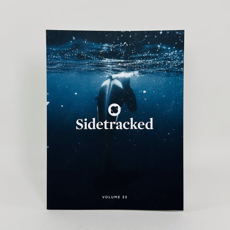 Sidetracked #33