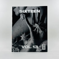 Sixteen #13 - The Golden Record